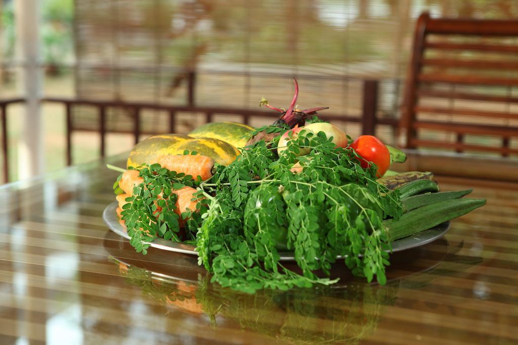 The Health Village Alwaye 외부 사진